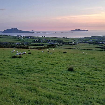 Gleann Loic Farmhouse Dingle Exterior photo